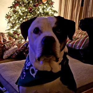 Meet your Posher, Dan